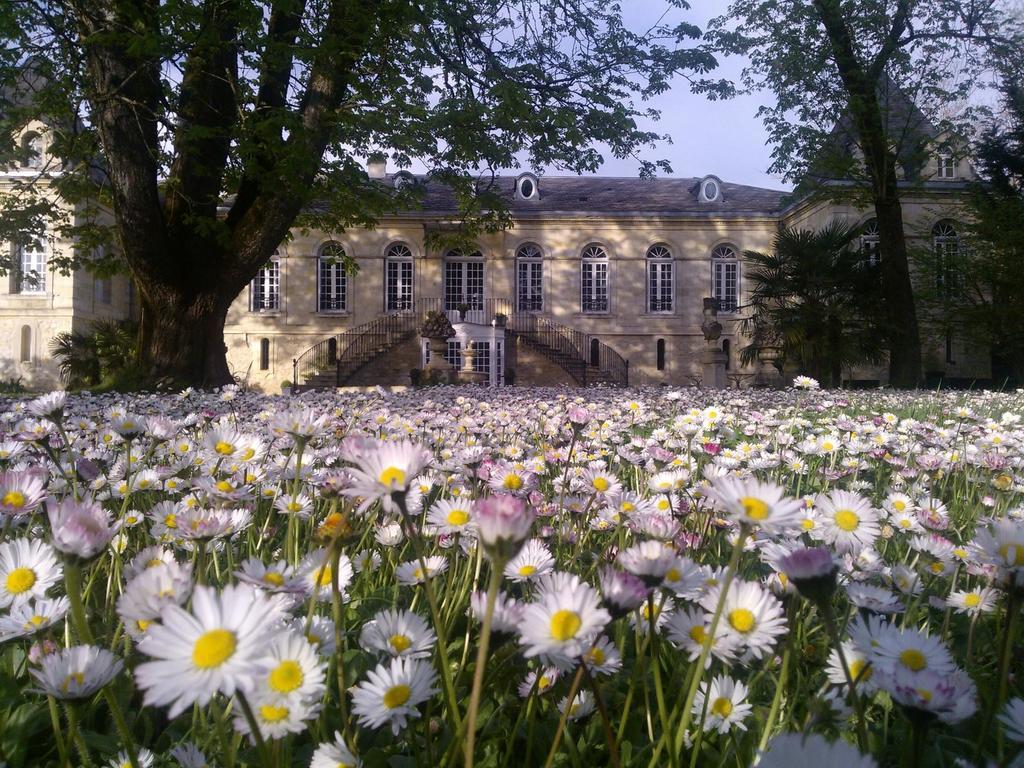 Chambres D'Hotes La Chartreuse Des Eyres Podensac Exterior foto